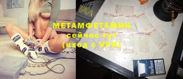 шишки Беломорск
