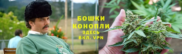 шишки Беломорск