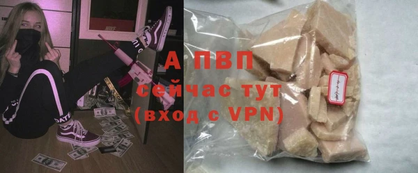 гидра Белокуриха