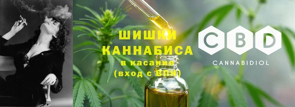 шишки Беломорск