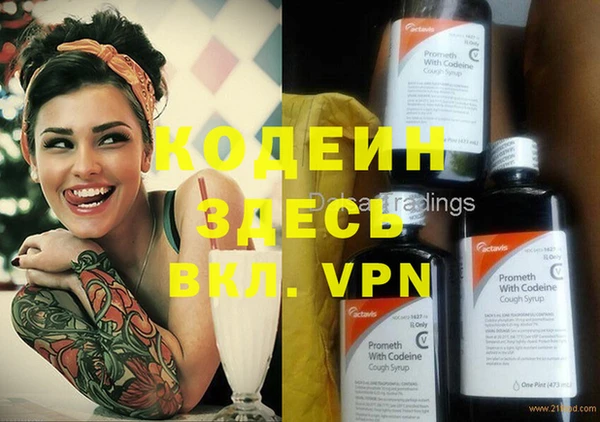 шишки Беломорск