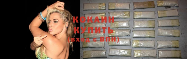 гидра Белокуриха