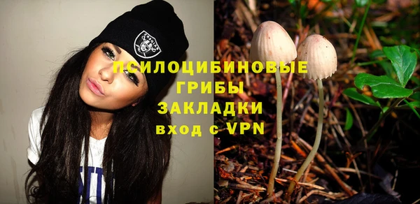 прущая мука Богородицк