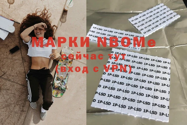 шишки Беломорск