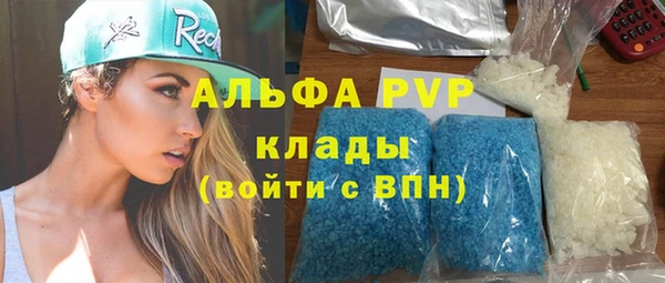 шишки Беломорск