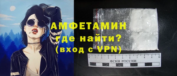 шишки Беломорск