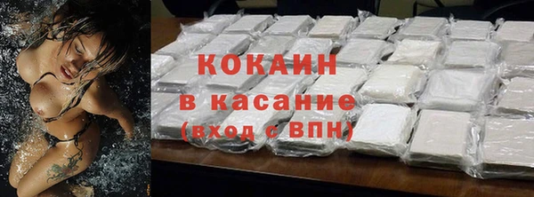 шишки Беломорск