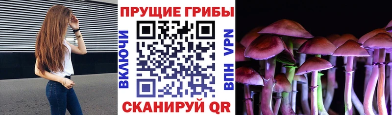 Галлюциногенные грибы Cubensis  купить закладку  kraken зеркало  Надым 